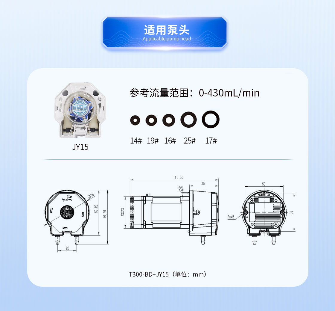 T300-BD+JY15流量參數(shù)